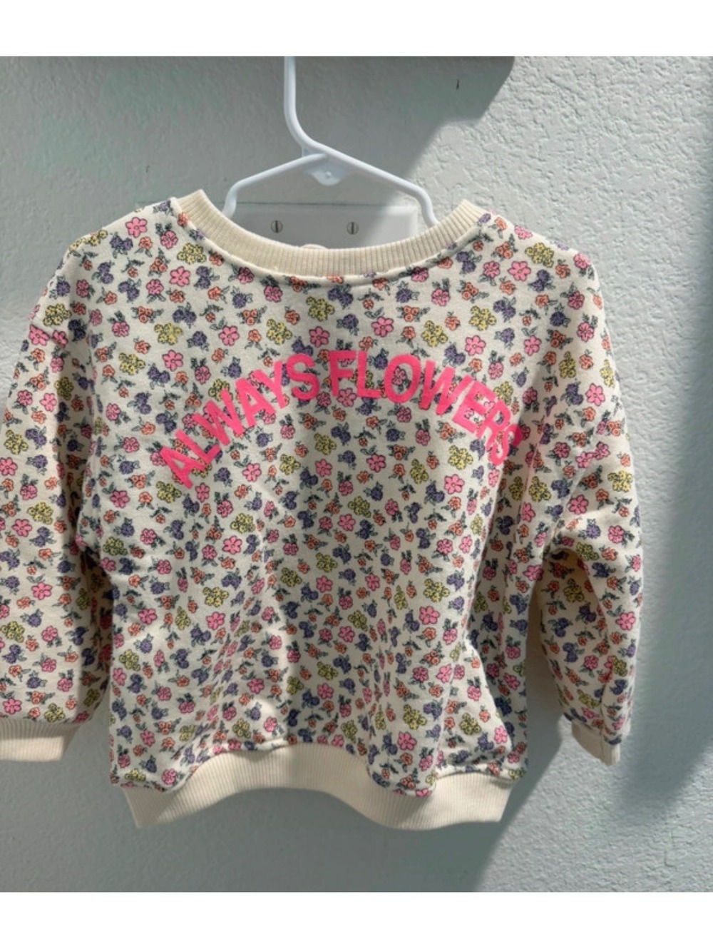 NWT Zara Floral Sweatshirt